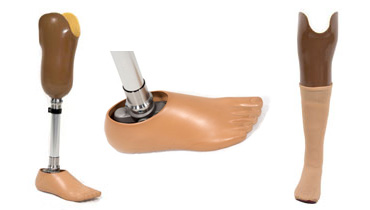 Below Knee modular prosthesis with single axis foot with ankle movement